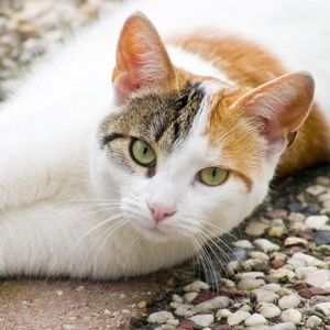 Meet your Posher, Agnes